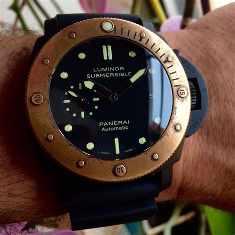 pam00305